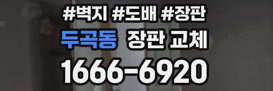 두곡동 장판 교체