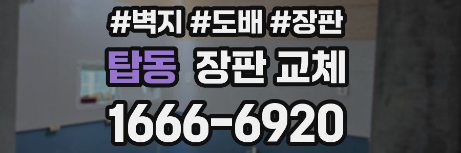 탑동 장판 교체