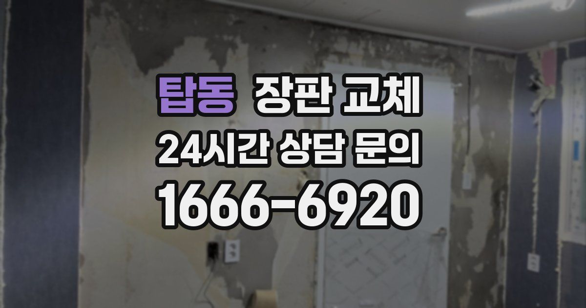 탑동 장판 교체