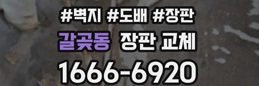 갈곶동 장판 교체