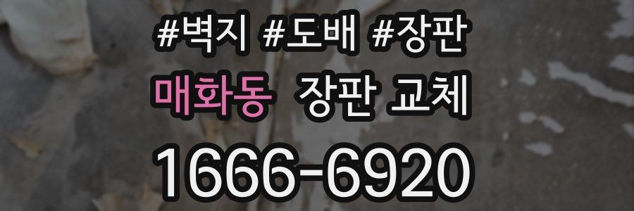 매화동 장판 교체