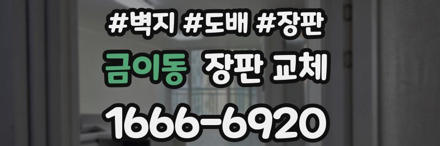 금이동 장판 교체