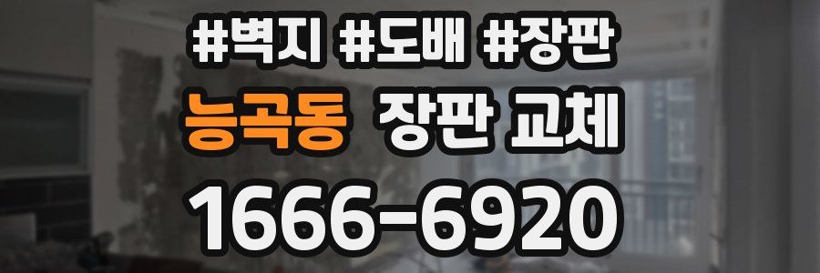 능곡동 장판 교체
