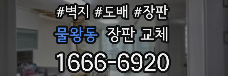 물왕동 장판 교체