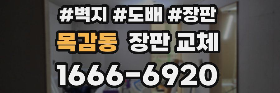 목감동 장판 교체