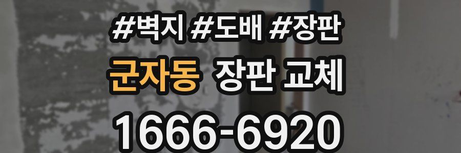 군자동 장판 교체