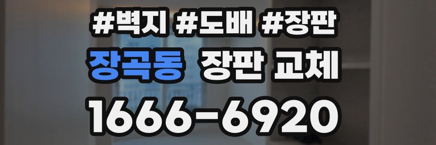 장곡동 장판 교체