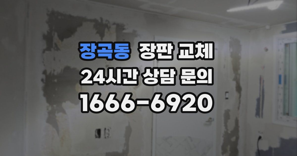 장곡동 장판 교체