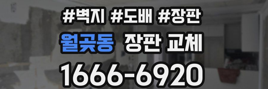 월곶동 장판 교체