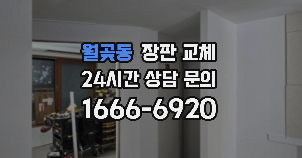 월곶동 장판 교체
