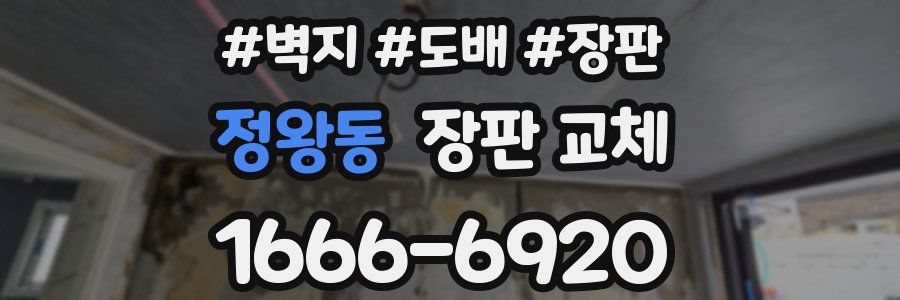 정왕동 장판 교체