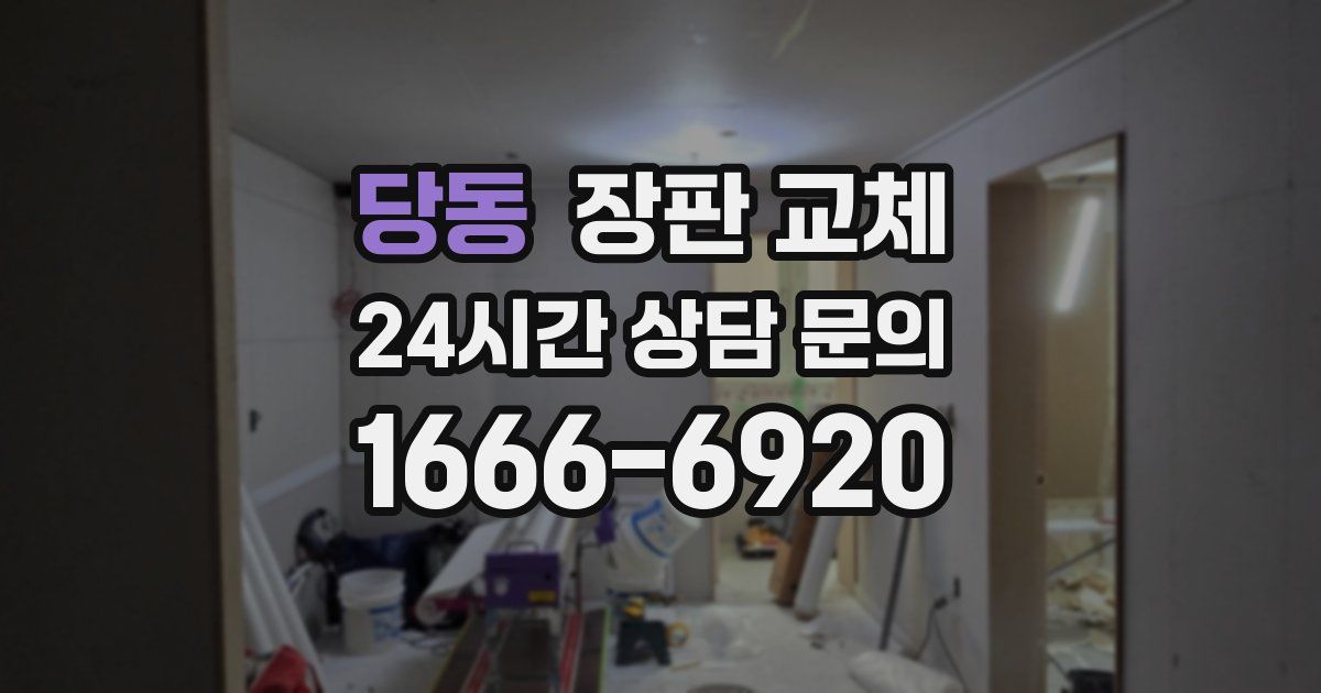 당동 장판 교체