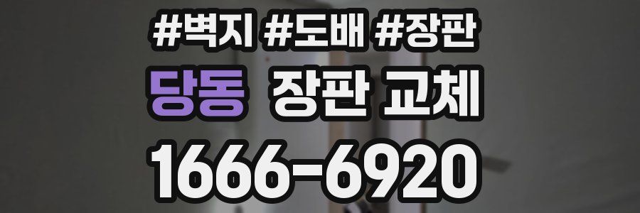 당동 장판 교체