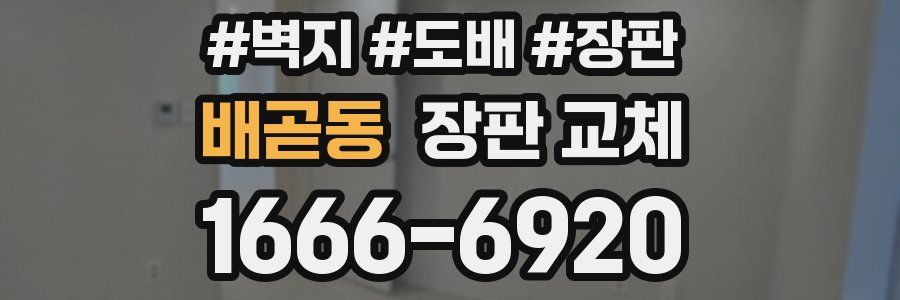 배곧동 장판 교체