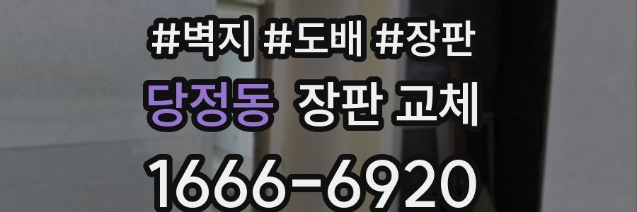 당정동 장판 교체