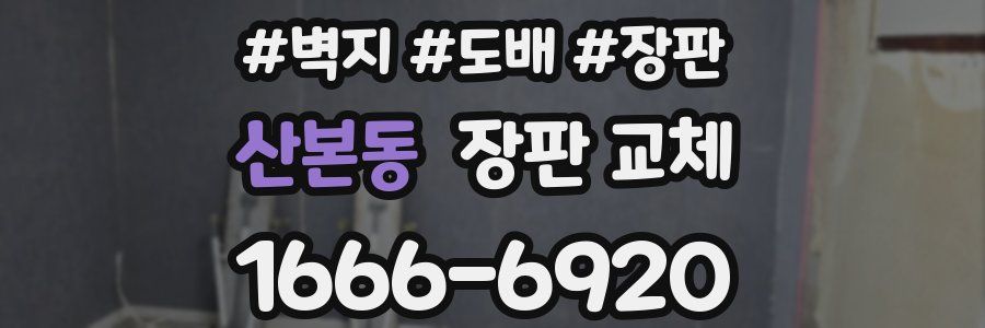 산본동 장판 교체