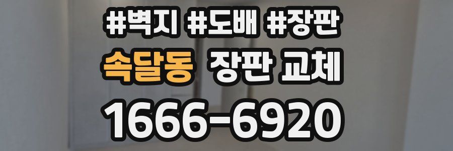 속달동 장판 교체