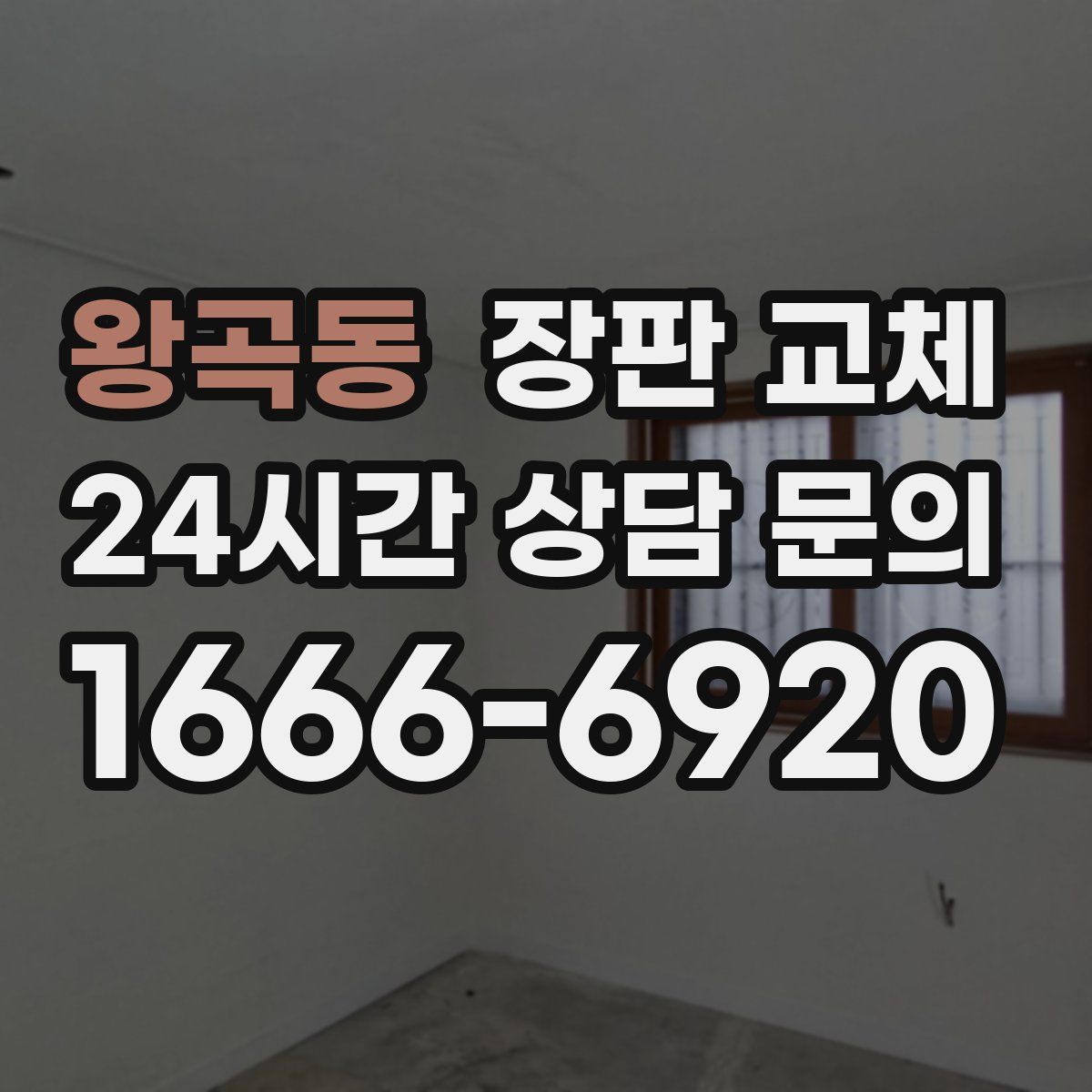 왕곡동 장판 교체