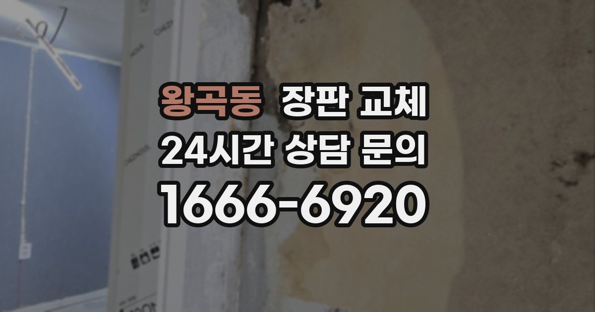 왕곡동 장판 교체