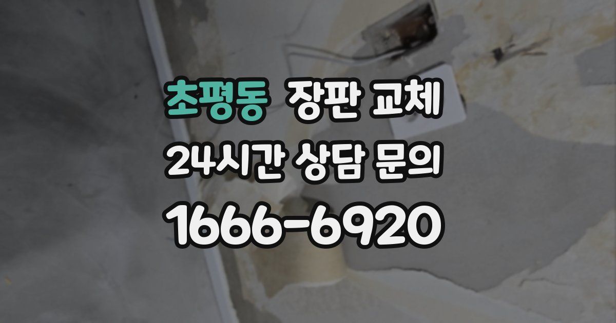 초평동 장판 교체