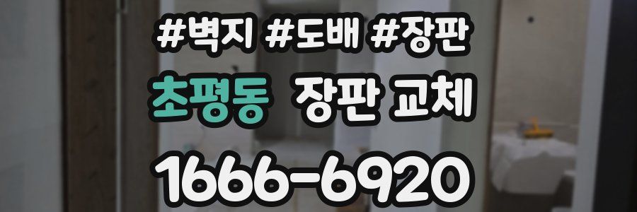 초평동 장판 교체