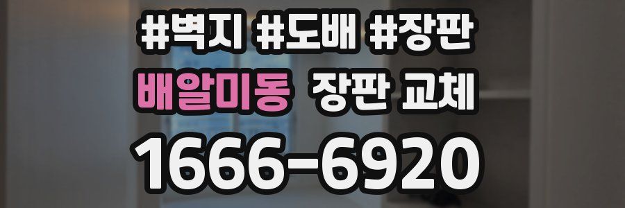 배알미동 장판 교체