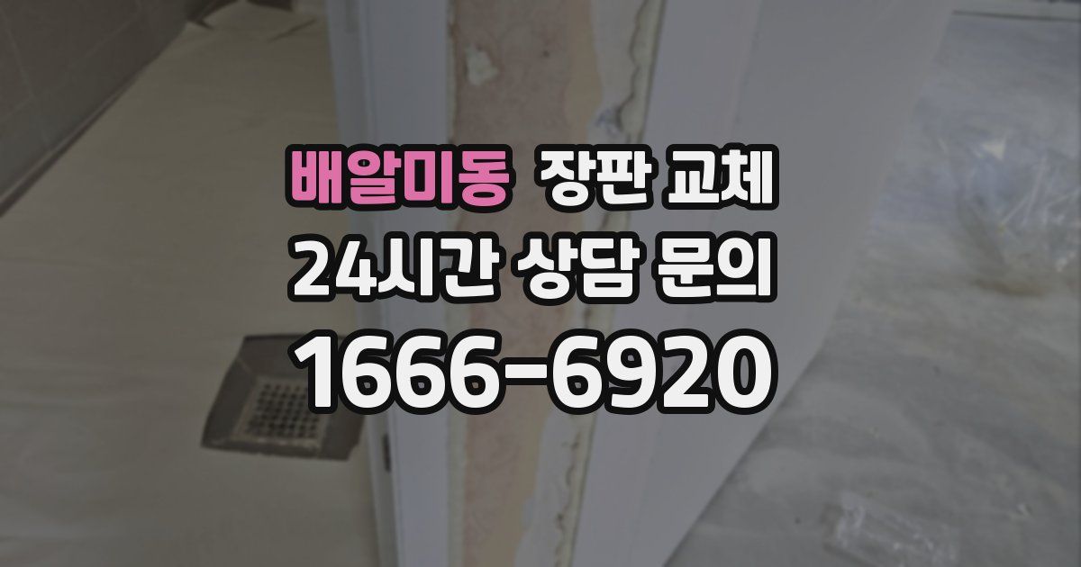 배알미동 장판 교체