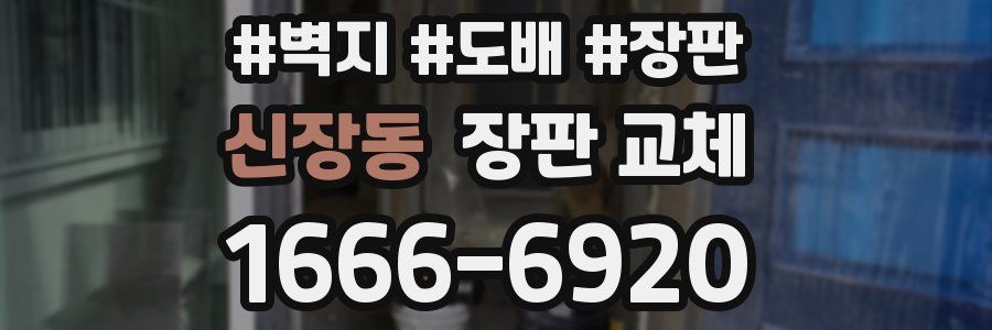 신장동 장판 교체