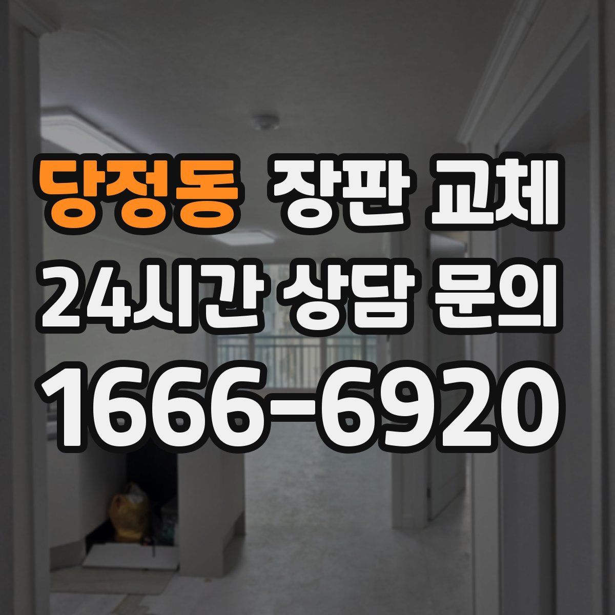 당정동 장판 교체