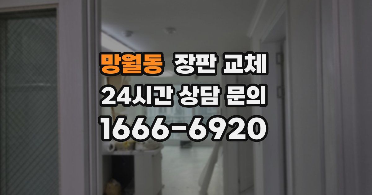 망월동 장판 교체