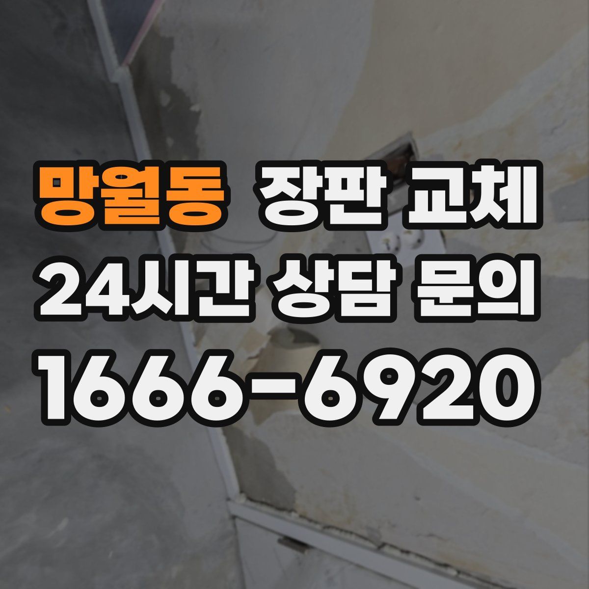 망월동 장판 교체