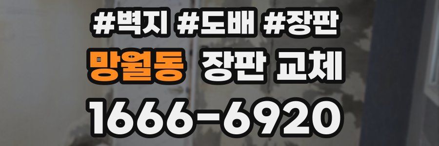 망월동 장판 교체