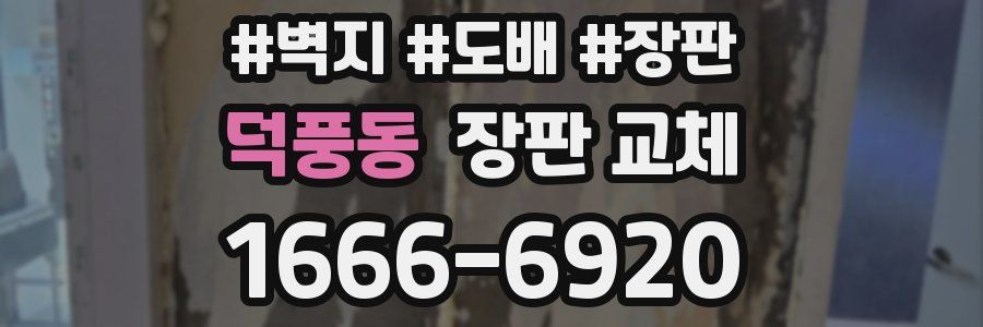 덕풍동 장판 교체