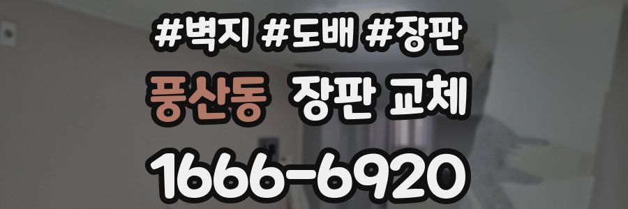 풍산동 장판 교체
