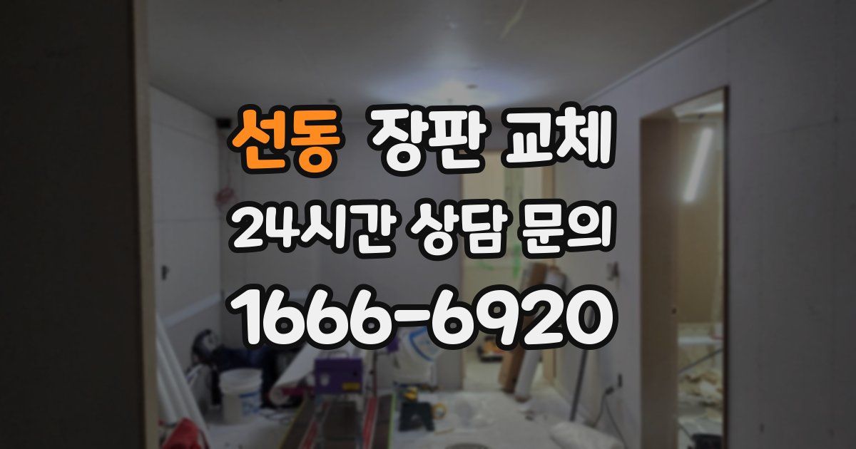 선동 장판 교체