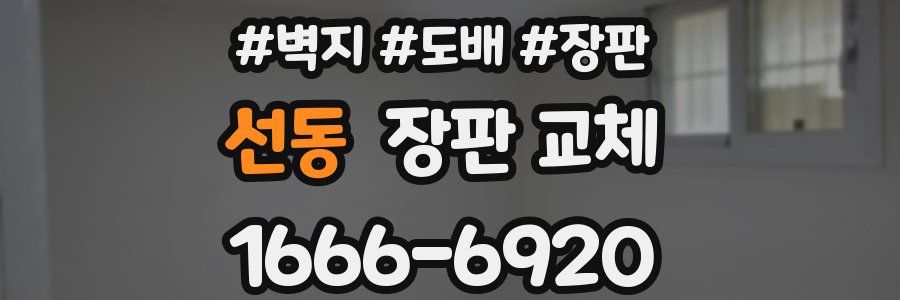 선동 장판 교체