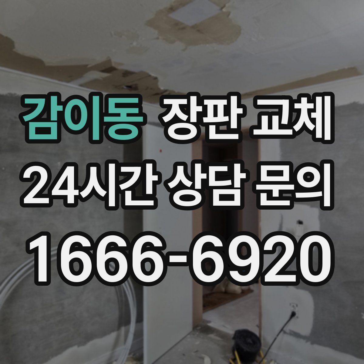 감이동 장판 교체