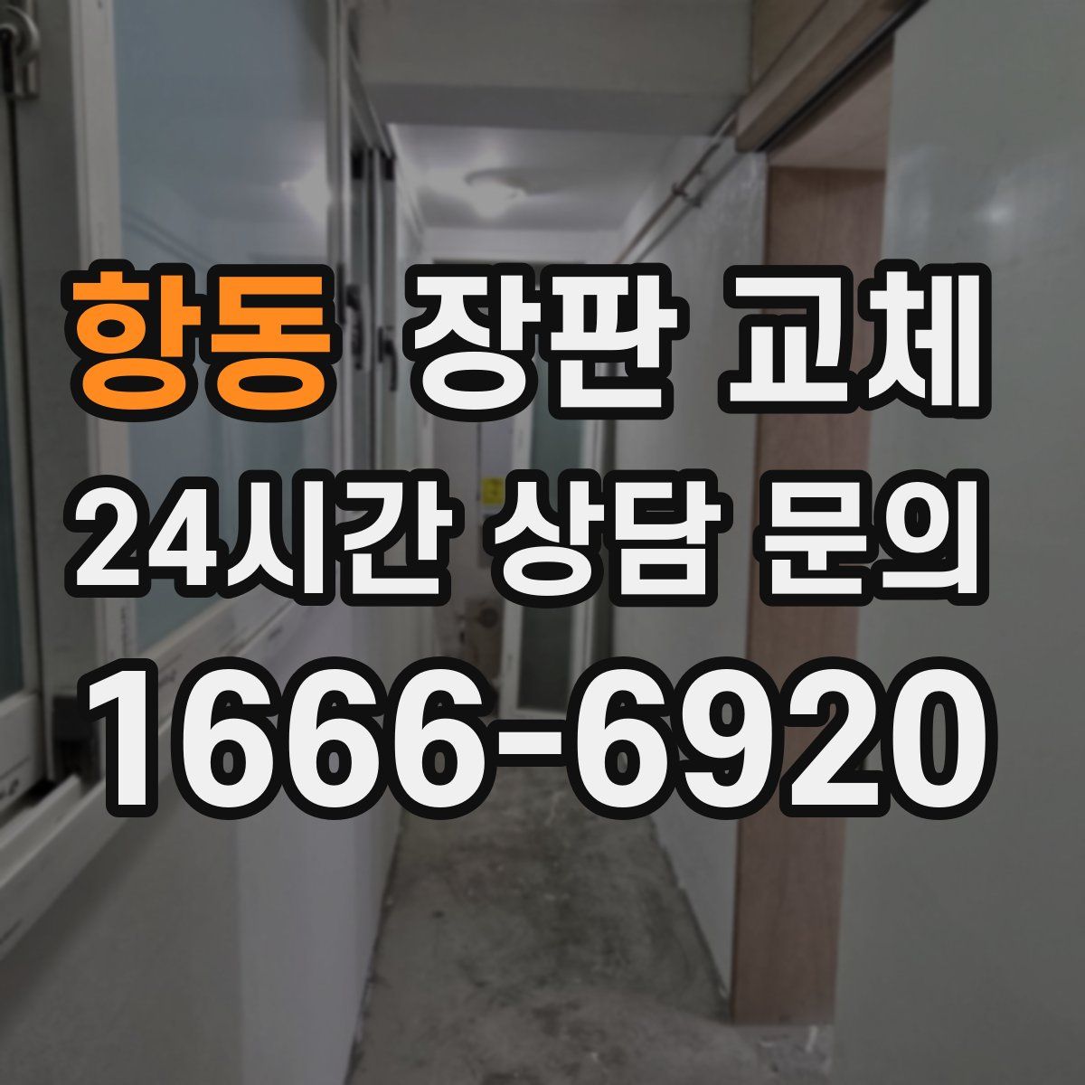 항동 장판 교체