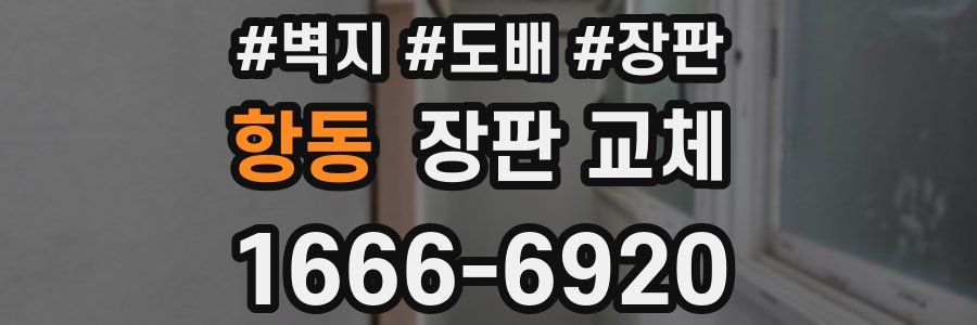 항동 장판 교체
