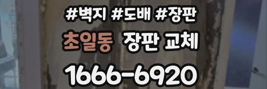 초일동 장판 교체