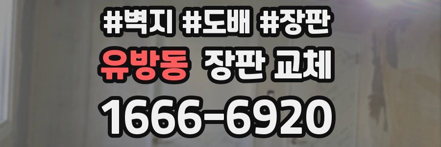 유방동 장판 교체