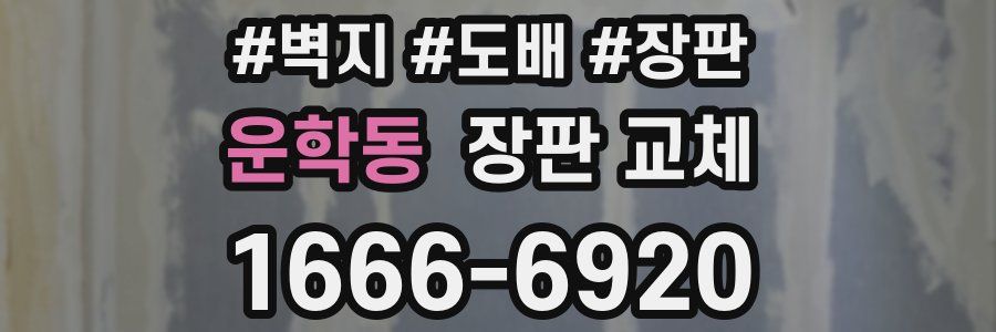 운학동 장판 교체