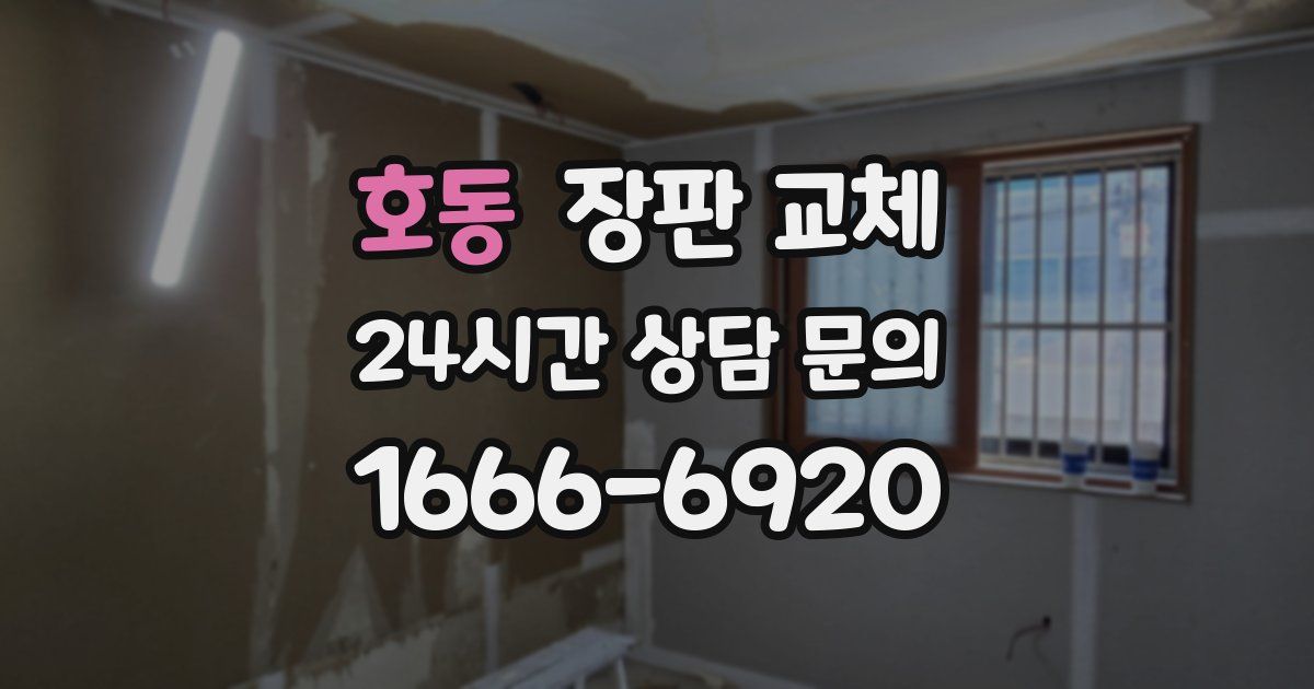호동 장판 교체