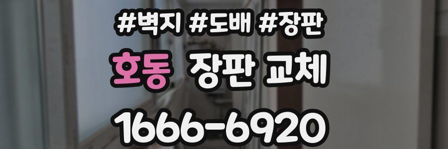 호동 장판 교체