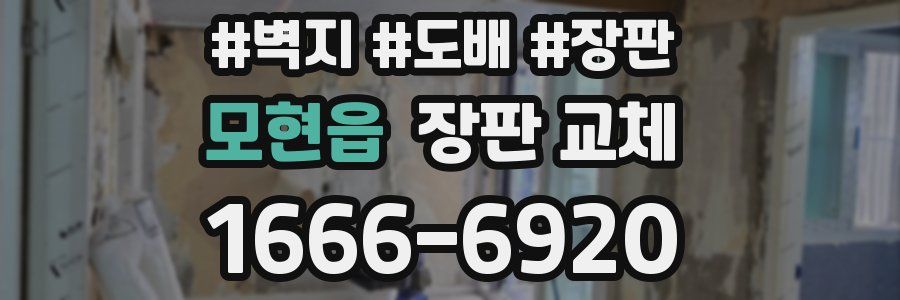 모현읍 장판 교체