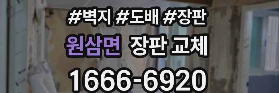 원삼면 장판 교체