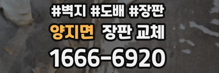 양지면 장판 교체
