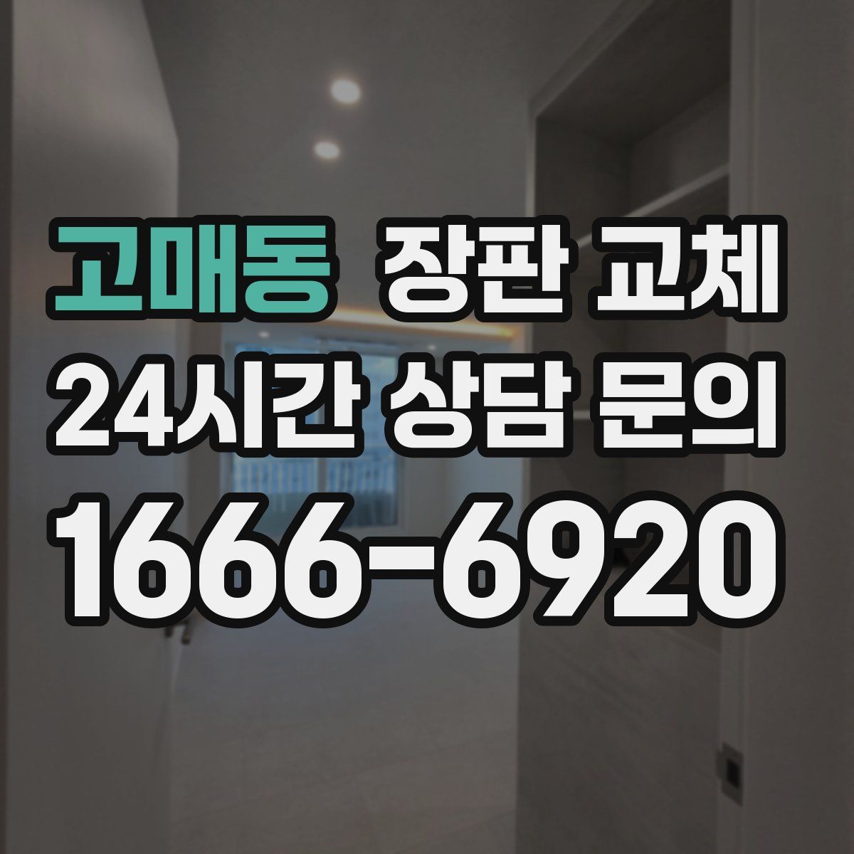 고매동 장판 교체