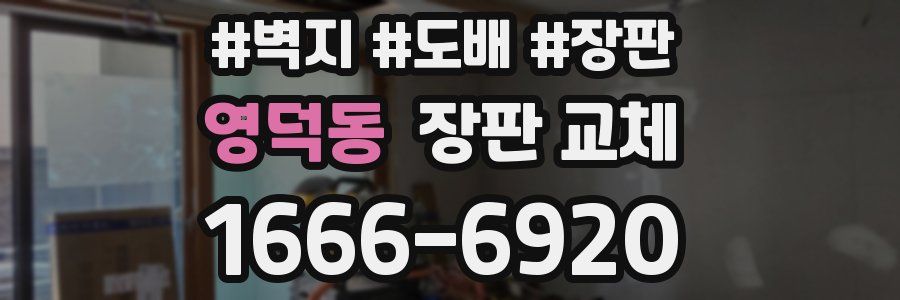 영덕동 장판 교체