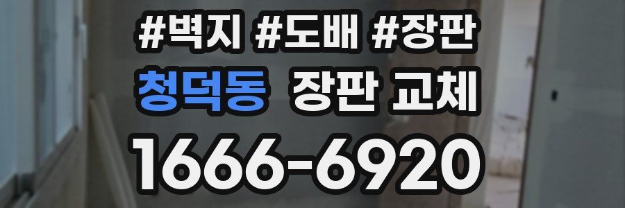 청덕동 장판 교체